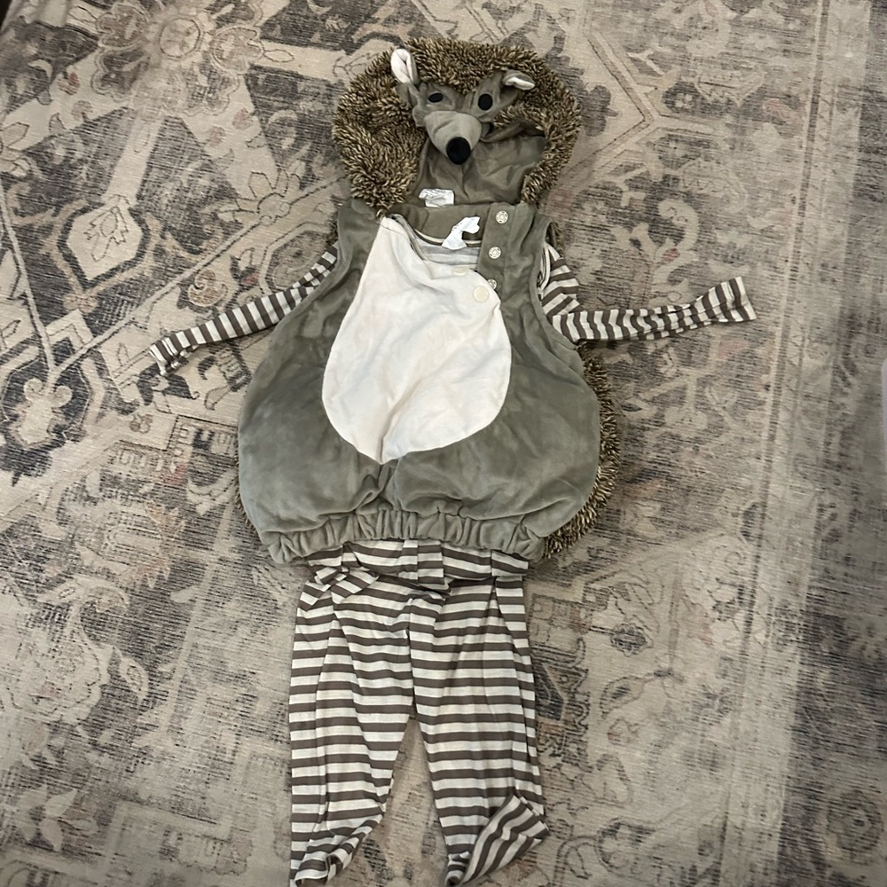 6-12 month hedgehog costume